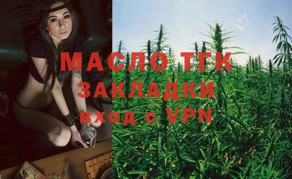 гашик Дмитриев
