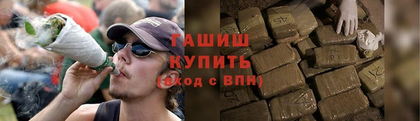 гашик Дмитриев