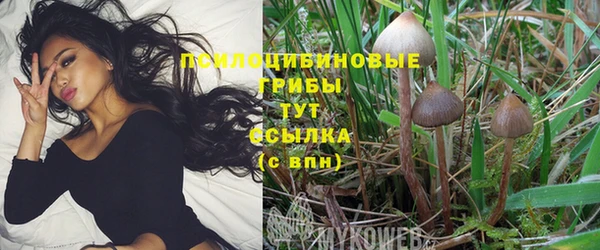 а пвп мука Дмитровск