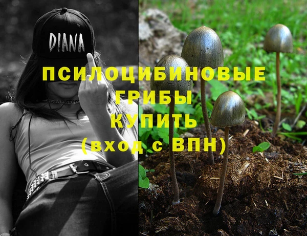 а пвп мука Дмитровск