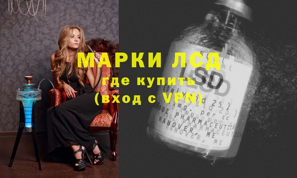 соль ск Ельня