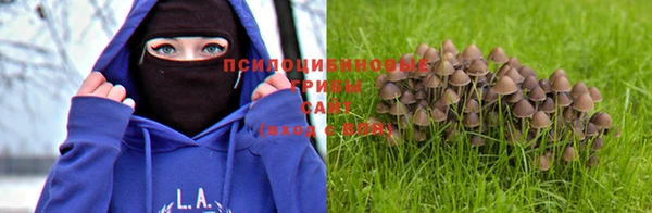 гашик Дмитриев