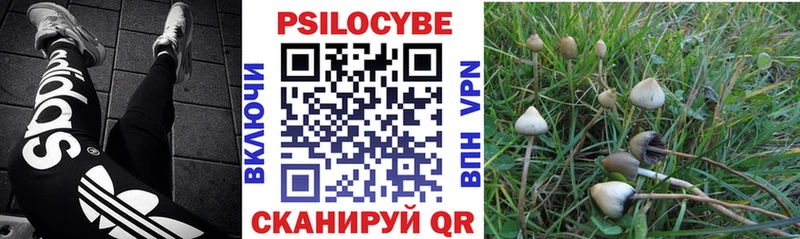 Галлюциногенные грибы мицелий  Евпатория 
